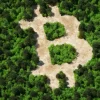 Bitcoin Jungle in Costa Rica