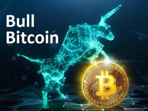 Bull Bitcoin bitcoin-only exchange