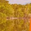 Bitcoin in suriname