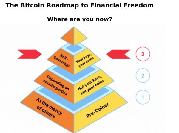 bitcoin education scholarship