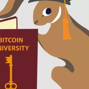 the bitcoin academy